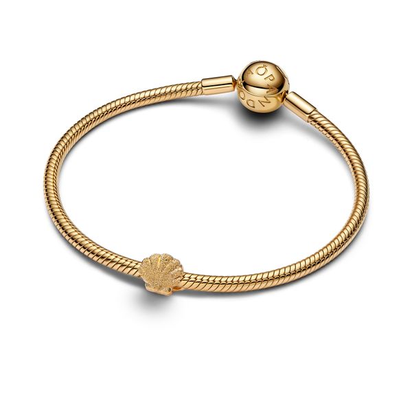 Pandora Charms Image 3 The Source Fine Jewelers Greece, NY