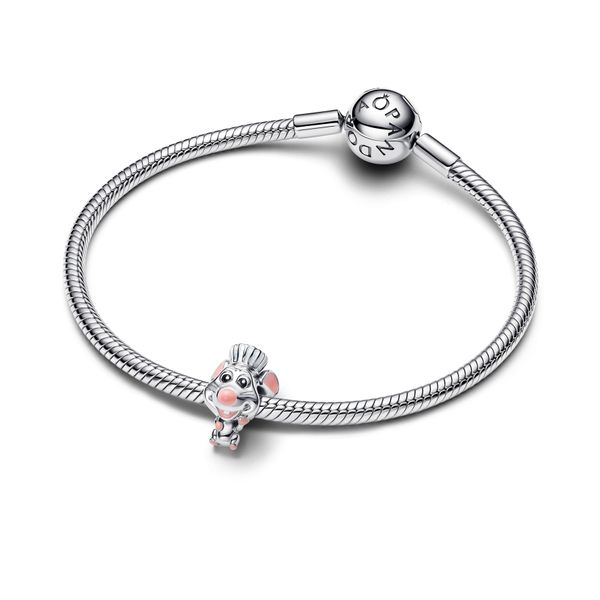 Pandora Charms Image 3 The Source Fine Jewelers Greece, NY