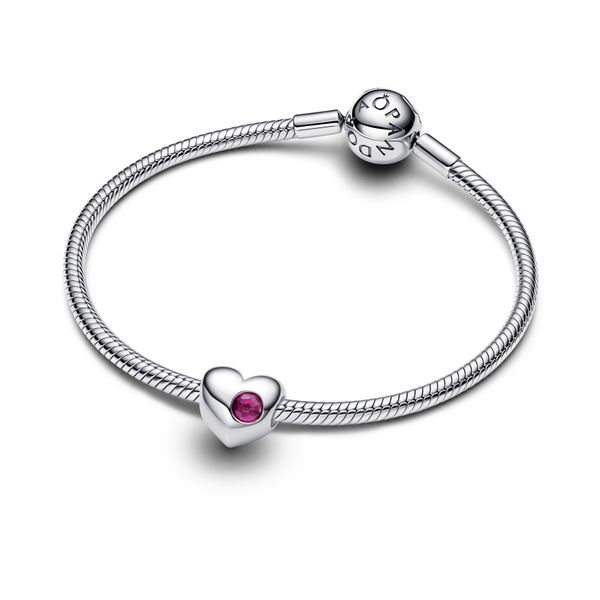 Pandora Charms Image 3 The Source Fine Jewelers Greece, NY