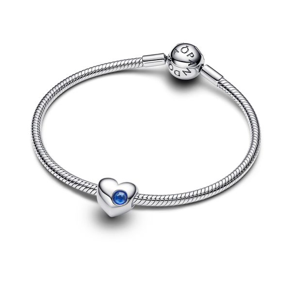 Pandora Charms Image 3 The Source Fine Jewelers Greece, NY