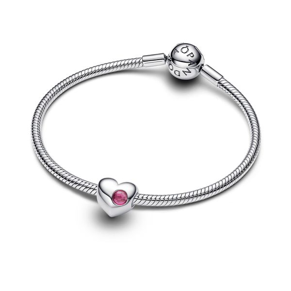 Pandora Charms Image 2 The Source Fine Jewelers Greece, NY