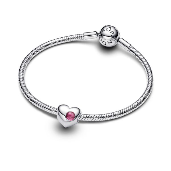 Pandora Charms Image 3 The Source Fine Jewelers Greece, NY