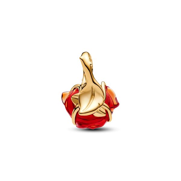 Pandora Charms Image 2 The Source Fine Jewelers Greece, NY