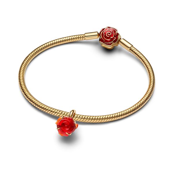 Pandora Charms Image 3 The Source Fine Jewelers Greece, NY
