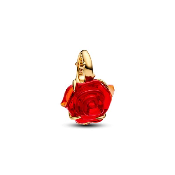 Pandora Charms The Source Fine Jewelers Greece, NY