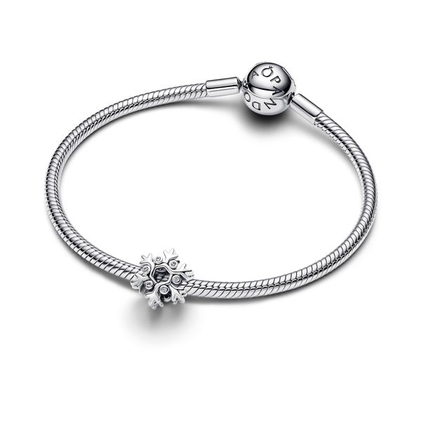 Pandora Charms Image 3 The Source Fine Jewelers Greece, NY