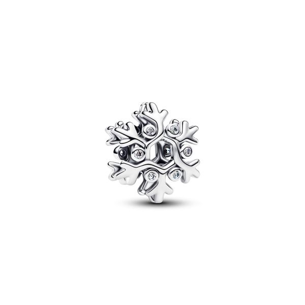 Pandora Charms The Source Fine Jewelers Greece, NY