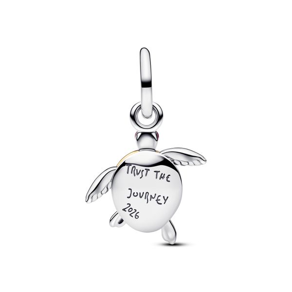 Pandora Charms Image 2 The Source Fine Jewelers Greece, NY