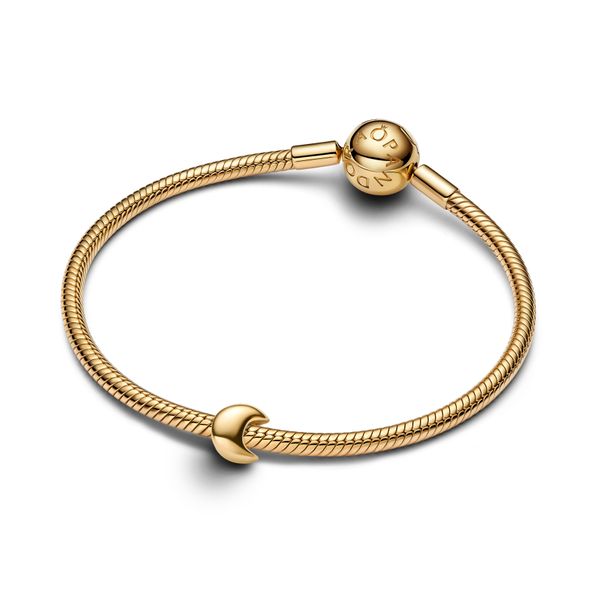 Pandora Charms Image 3 The Source Fine Jewelers Greece, NY