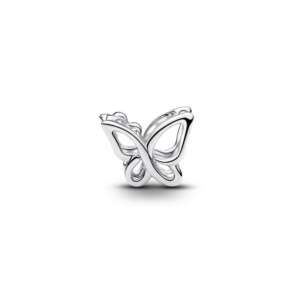 Pandora Charms Image 2 The Source Fine Jewelers Greece, NY