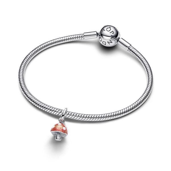 Pandora Charms Image 3 The Source Fine Jewelers Greece, NY