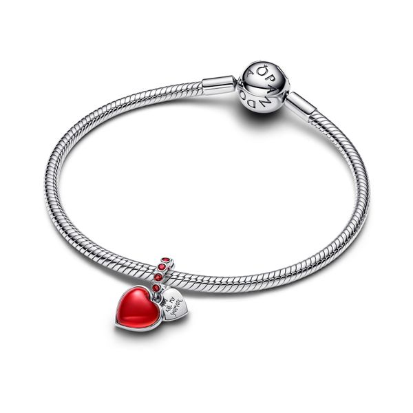 Pandora Charms Image 3 The Source Fine Jewelers Greece, NY