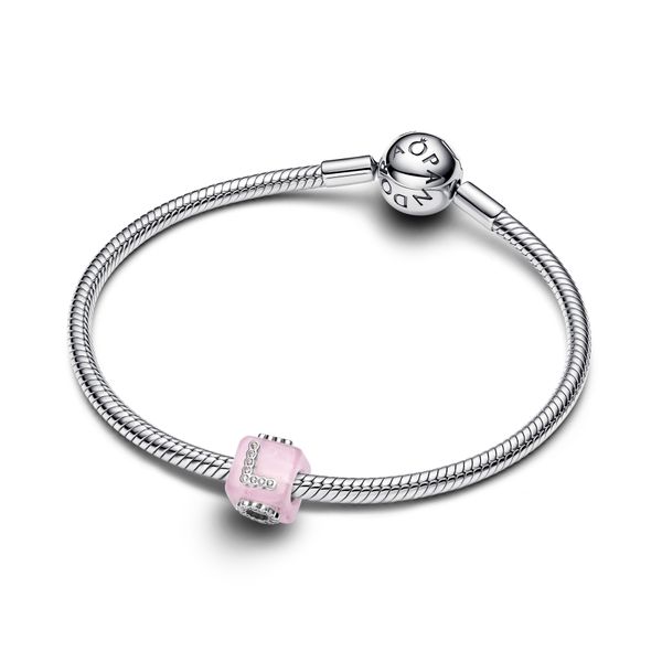 Pandora Charms Image 3 The Source Fine Jewelers Greece, NY