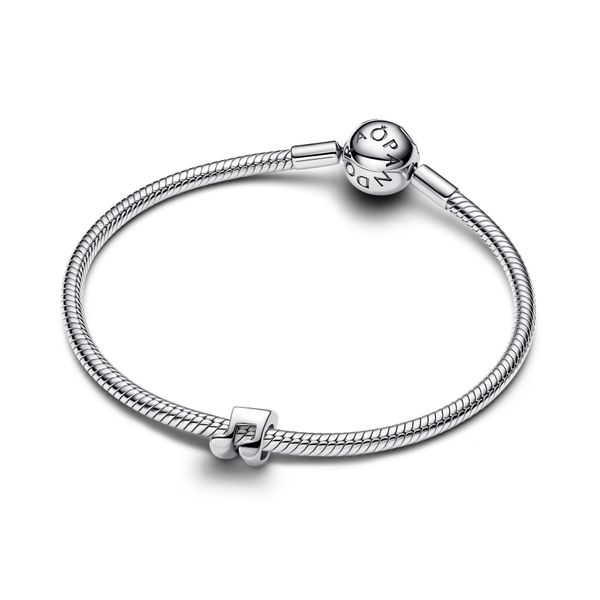 Pandora Charms Image 3 The Source Fine Jewelers Greece, NY