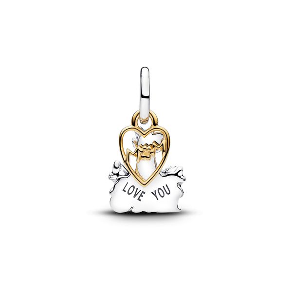 Pandora Charms Image 2 The Source Fine Jewelers Greece, NY