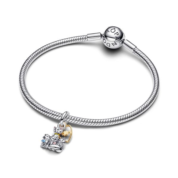 Pandora Charms Image 3 The Source Fine Jewelers Greece, NY
