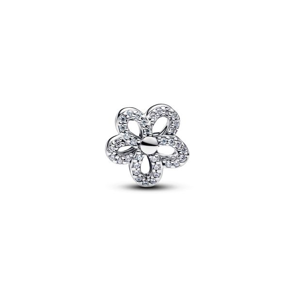 Pandora Charms Image 2 The Source Fine Jewelers Greece, NY