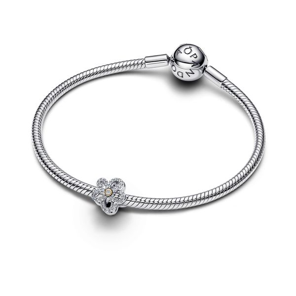 Pandora Charms Image 3 The Source Fine Jewelers Greece, NY