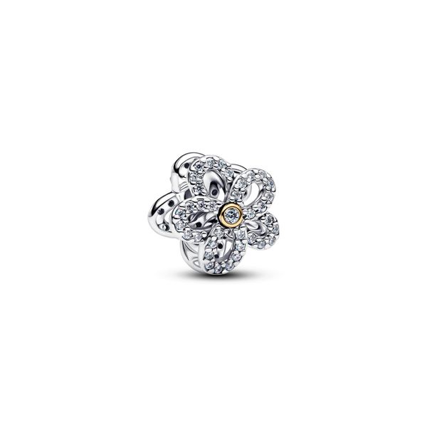 Pandora Charms The Source Fine Jewelers Greece, NY
