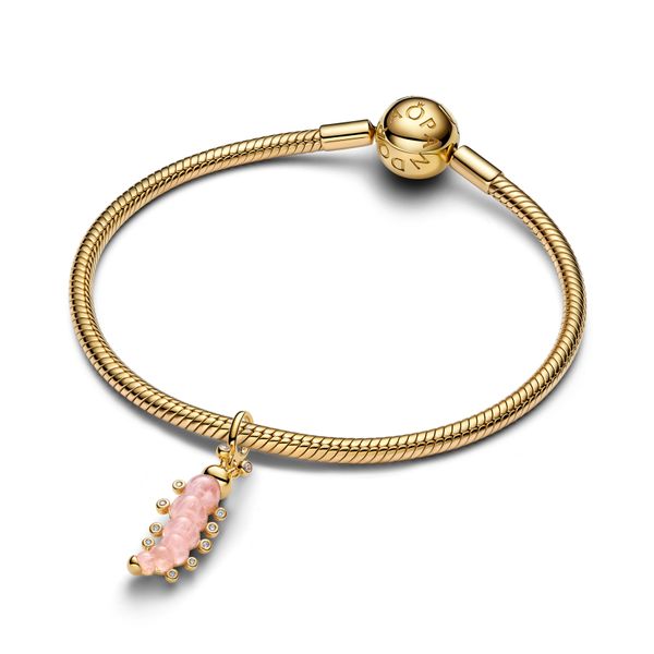 Pandora Charms Image 3 The Source Fine Jewelers Greece, NY