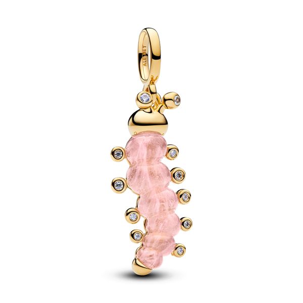 Pandora Charms The Source Fine Jewelers Greece, NY