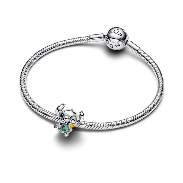 Pandora Charms Image 3 The Source Fine Jewelers Greece, NY