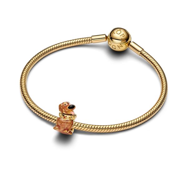 Pandora Charms Image 3 The Source Fine Jewelers Greece, NY