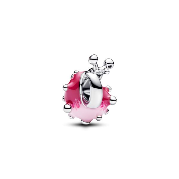 Pandora Charms Image 2 The Source Fine Jewelers Greece, NY