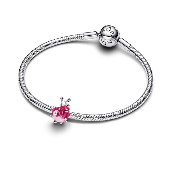 Pandora Charms Image 3 The Source Fine Jewelers Greece, NY