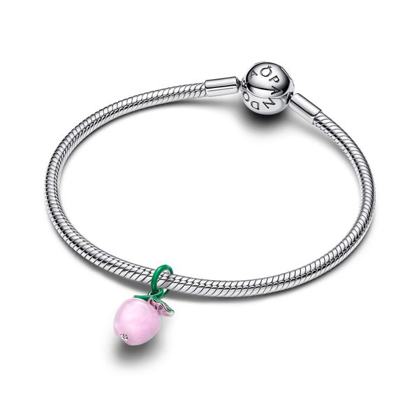 Pandora Charms Image 3 The Source Fine Jewelers Greece, NY