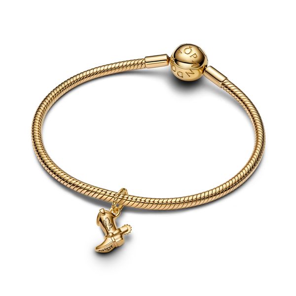 Pandora Charms Image 3 The Source Fine Jewelers Greece, NY