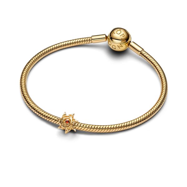 Pandora Charms Image 3 The Source Fine Jewelers Greece, NY
