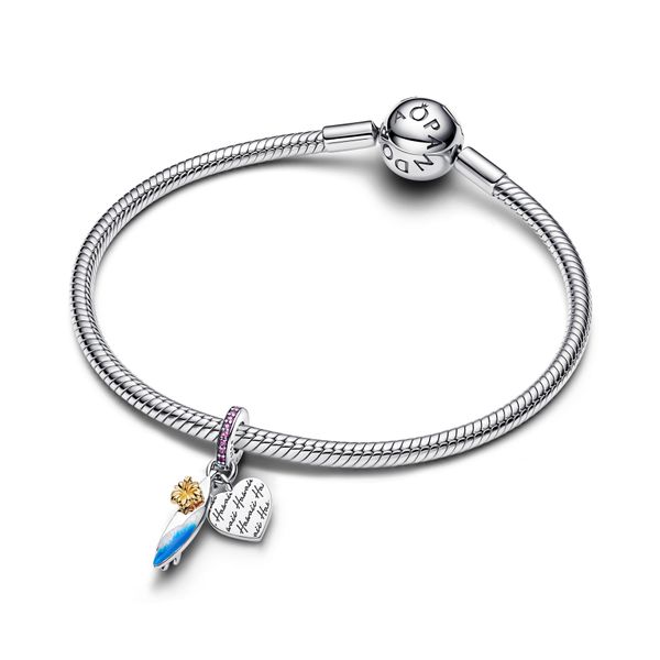 Pandora Charms Image 3 The Source Fine Jewelers Greece, NY