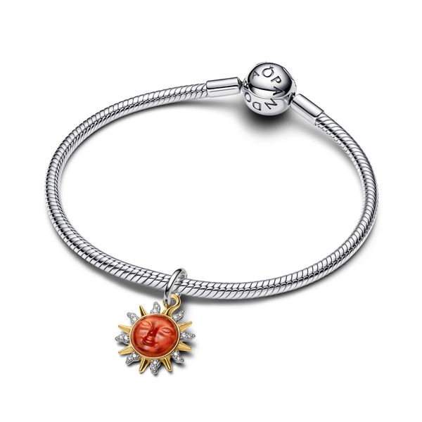 Pandora Charms Image 3 The Source Fine Jewelers Greece, NY