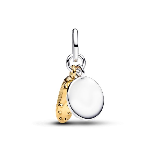 Pandora Charms Image 2 The Source Fine Jewelers Greece, NY