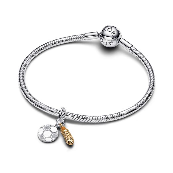 Pandora Charms Image 3 The Source Fine Jewelers Greece, NY
