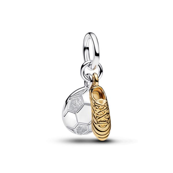 Pandora Charms The Source Fine Jewelers Greece, NY