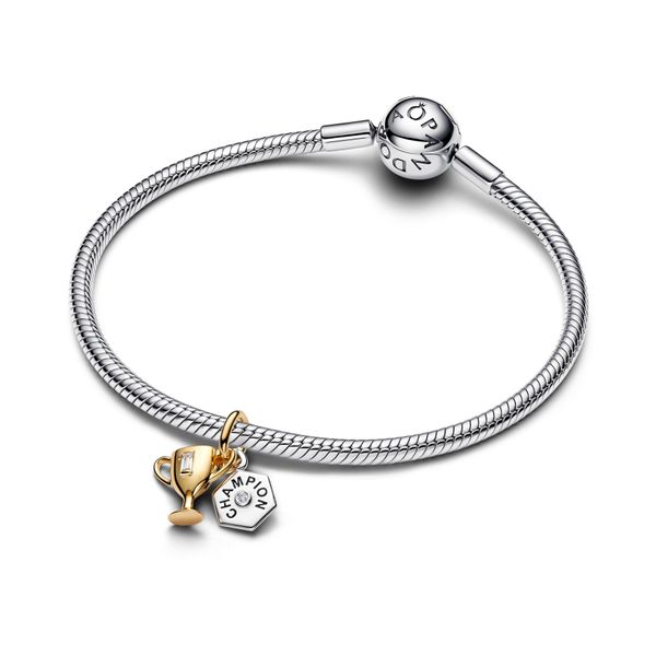 Pandora Charms Image 3 The Source Fine Jewelers Greece, NY