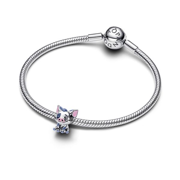 Pandora Charms Image 3 The Source Fine Jewelers Greece, NY