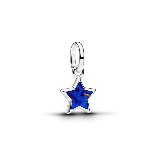 Pandora Charms The Source Fine Jewelers Greece, NY