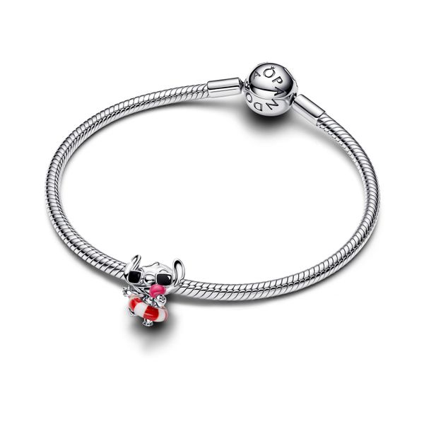 Pandora Charms Image 3 The Source Fine Jewelers Greece, NY