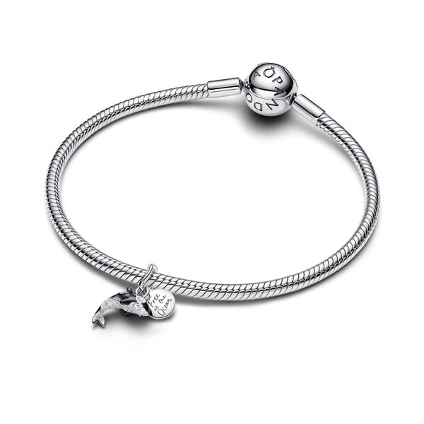 Pandora Charms Image 3 The Source Fine Jewelers Greece, NY