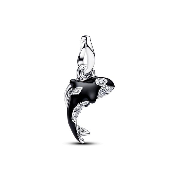 Pandora Charms The Source Fine Jewelers Greece, NY