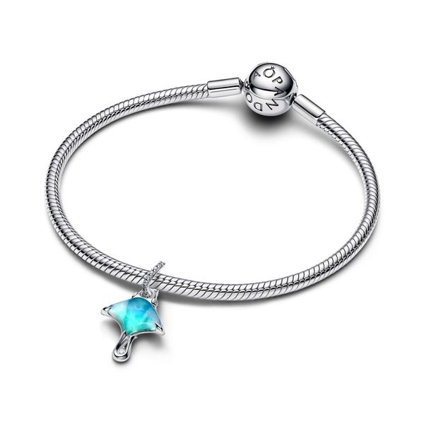 Pandora Charms Image 3 The Source Fine Jewelers Greece, NY