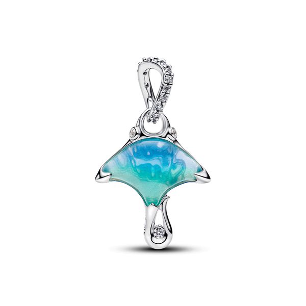 Pandora Charms The Source Fine Jewelers Greece, NY