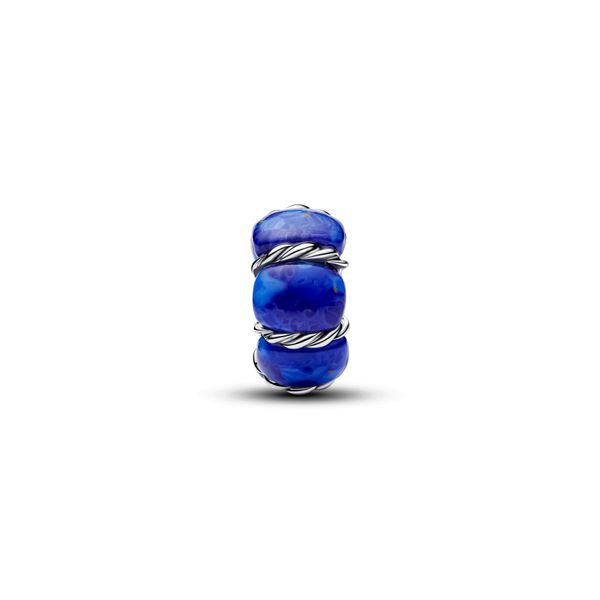 Pandora Charms Image 2 The Source Fine Jewelers Greece, NY