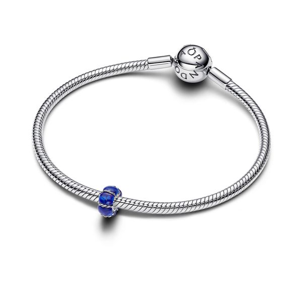 Pandora Charms Image 3 The Source Fine Jewelers Greece, NY