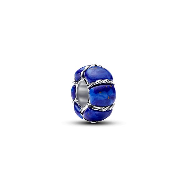 Pandora Charms The Source Fine Jewelers Greece, NY