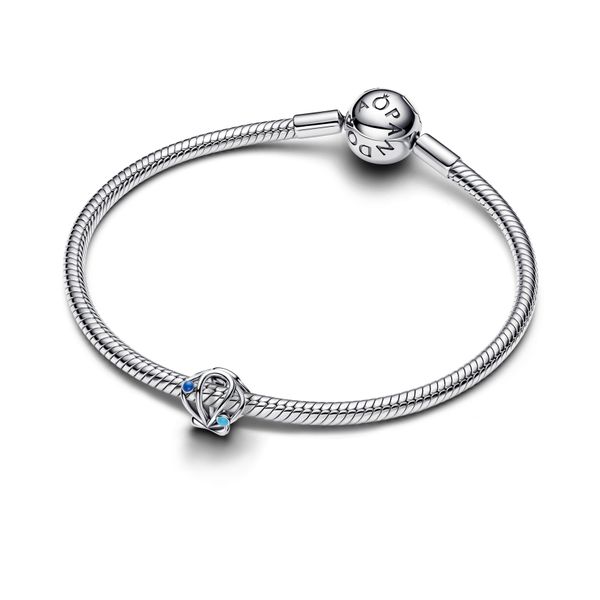 Pandora Charms Image 3 The Source Fine Jewelers Greece, NY
