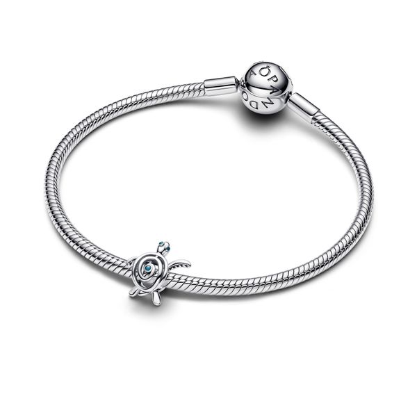 Pandora Charms Image 3 The Source Fine Jewelers Greece, NY